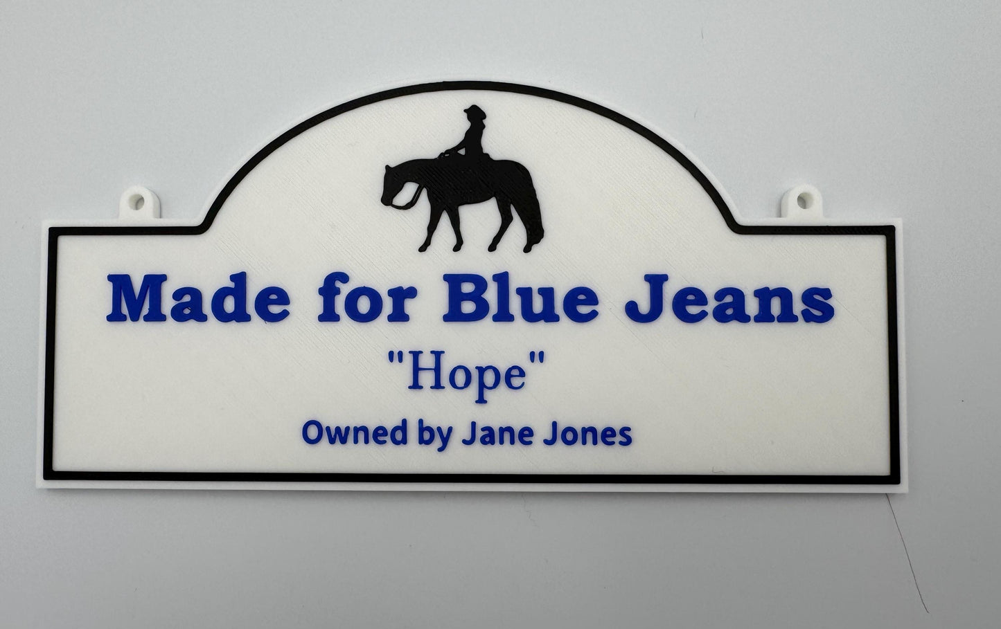 Personalized Custom Horse Stall Plaque Sign Plastic Sign