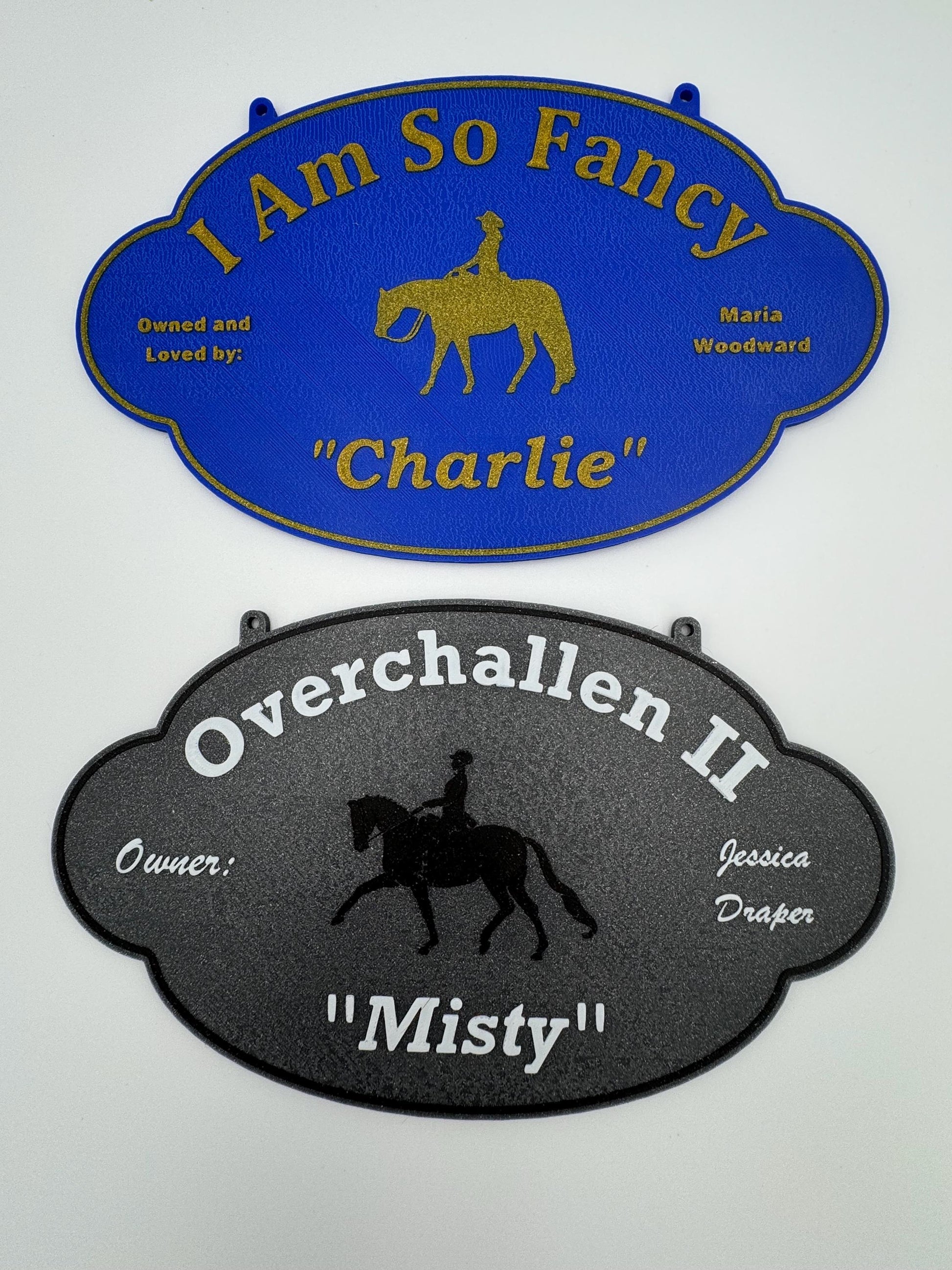 Personalized Custom Horse Stall Plaque Sign Plastic Sign