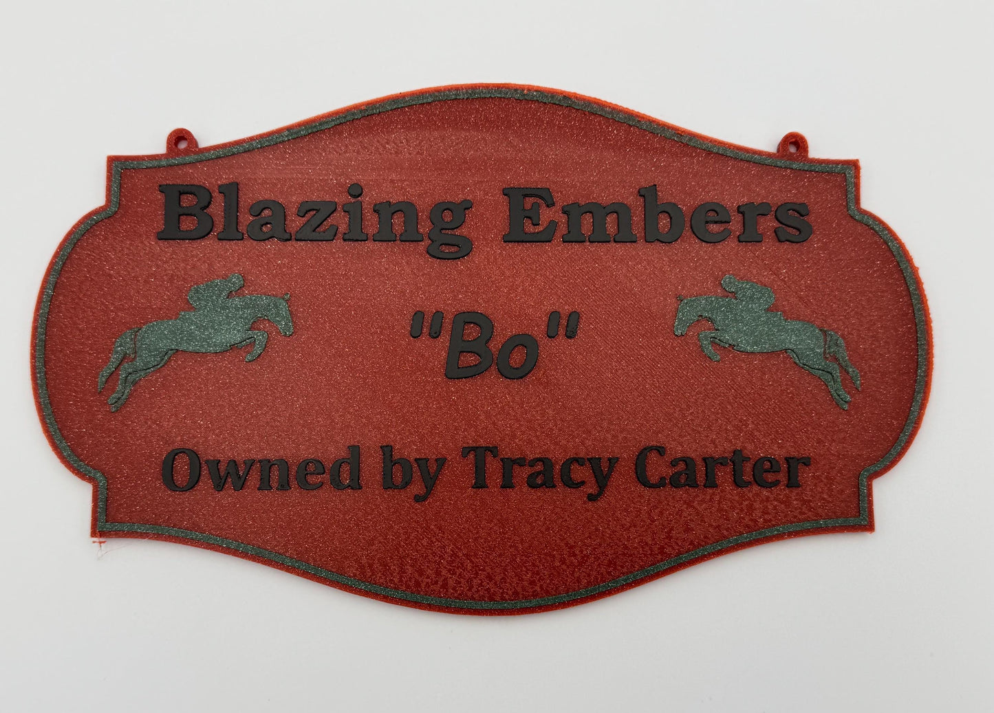 Small Personalized Horse Stall Sign or Plaque - Gift for Horse Owner, Equestrian or Horse Trainer- Custom Horse Stall Sign Custom Fair Sign