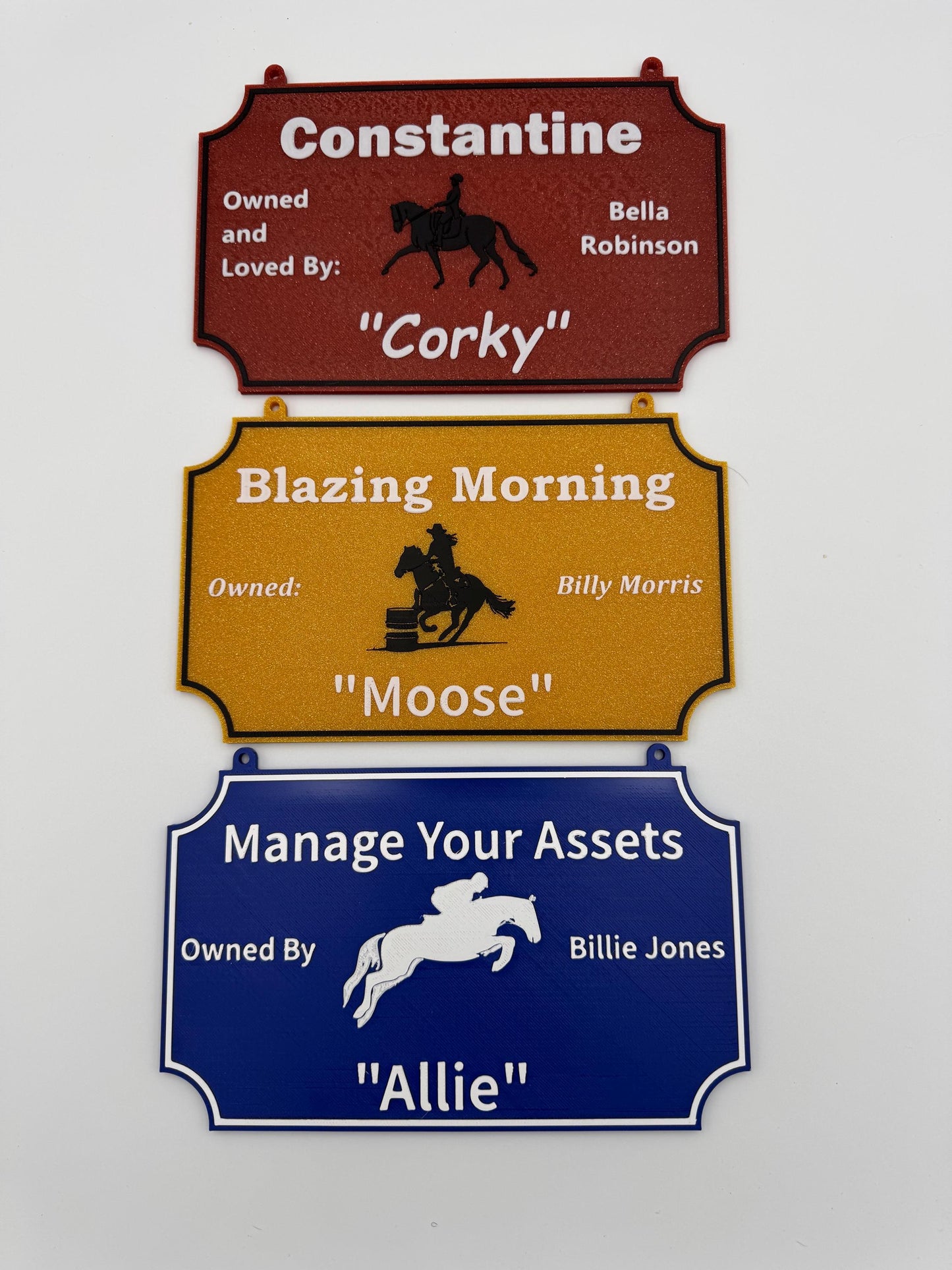 Large Personalized Horse Stall Sign or Plaque - Gift for Horse Owner, Equestrian or Horse Trainer- Custom Horse Stall Sign Custom Fair Sign