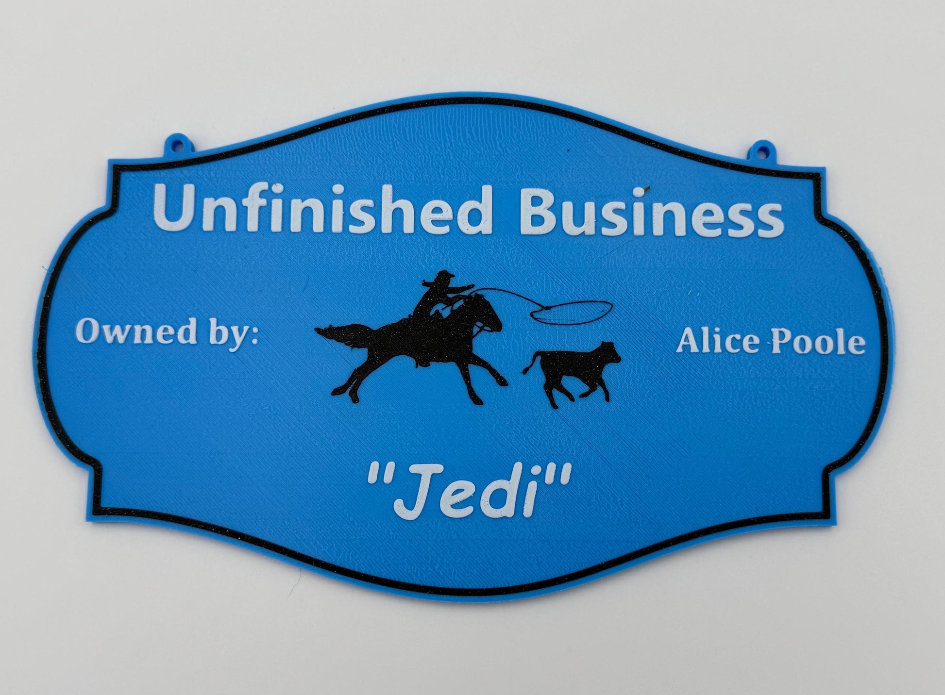 Small Personalized Horse Stall Sign or Plaque - Gift for Horse Owner, Equestrian or Horse Trainer- Custom Horse Stall Sign Custom Fair Sign