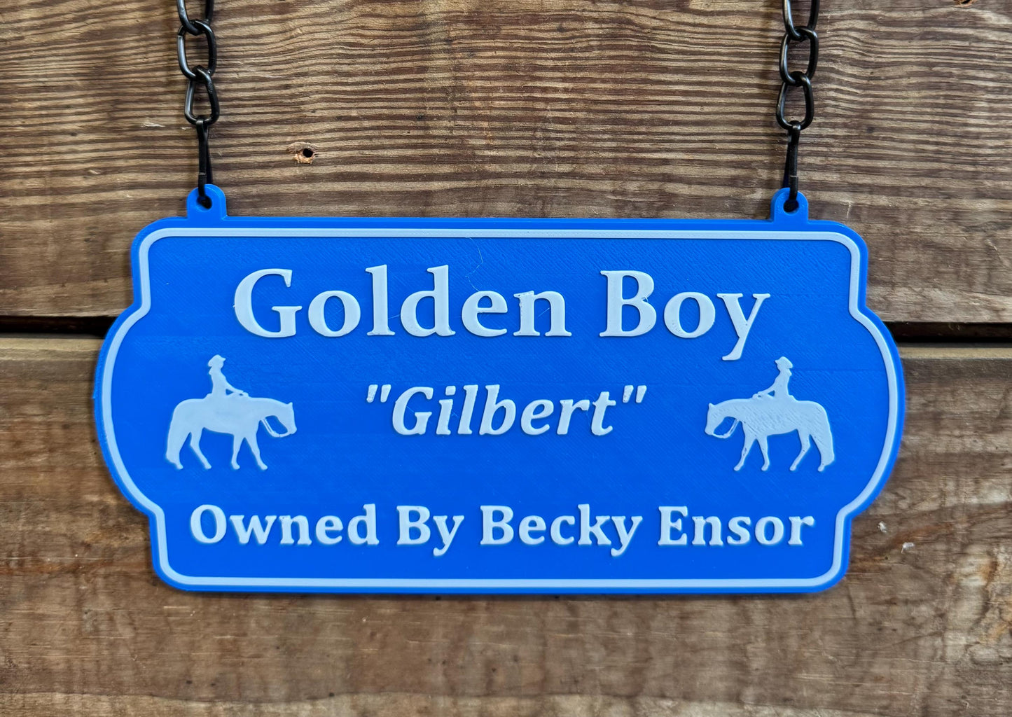 Small Personalized Horse Stall Sign or Plaque - Gift for Horse Owner, Equestrian or Horse Trainer- Custom Horse Stall Sign Custom Fair Sign