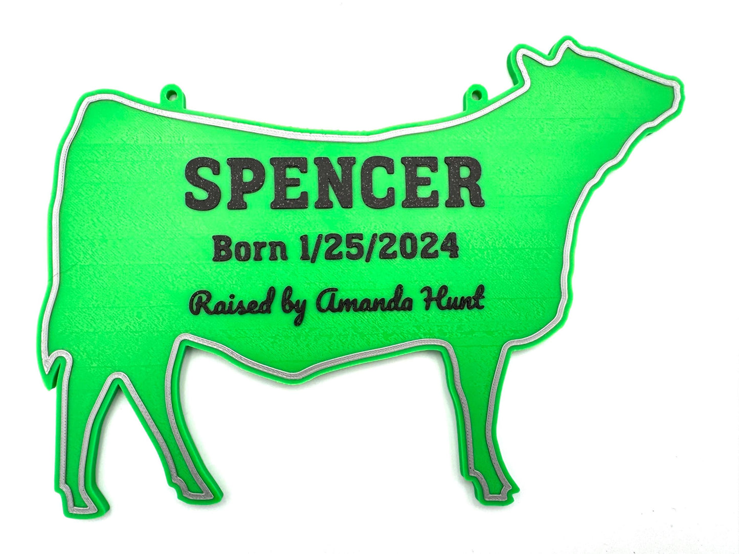 Personalized Cow Stall Sign Farm Fair Stall Plaque Custom Cow Stall Sign Steer Child Gift Farm Fair Display Gift