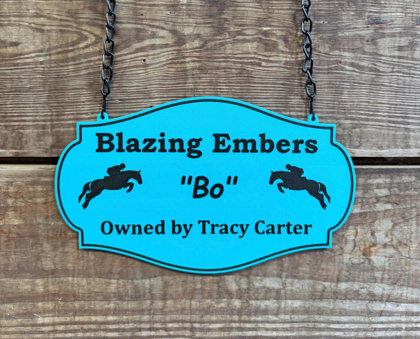 Small Personalized Horse Stall Sign or Plaque - Gift for Horse Owner, Equestrian or Horse Trainer- Custom Horse Stall Sign Custom Fair Sign