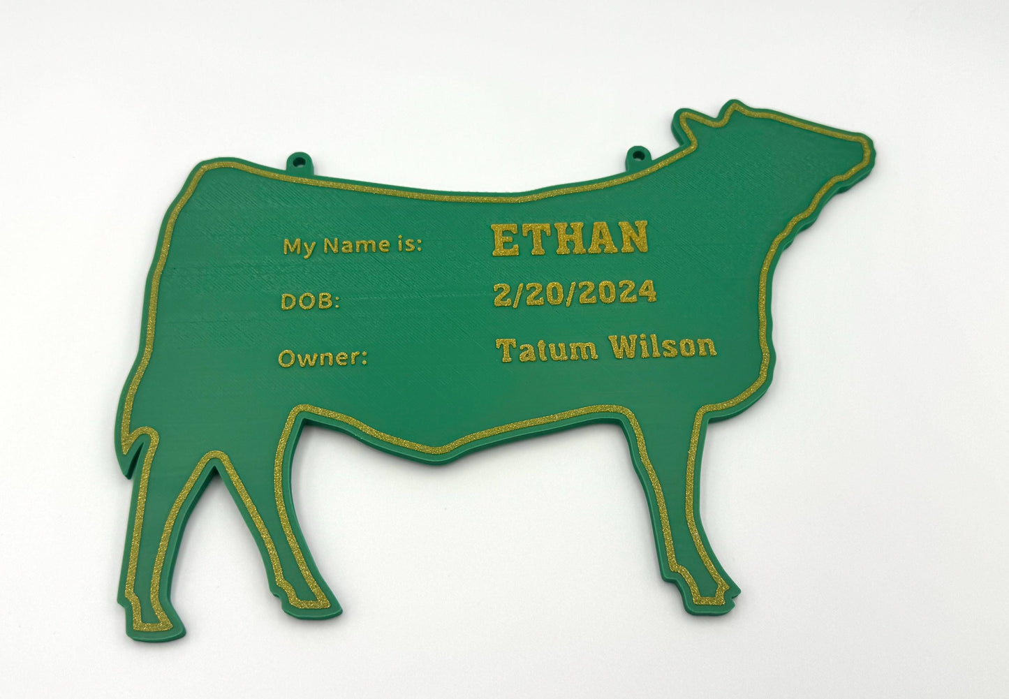 Personalized Cow Stall Sign Farm Fair Stall Plaque Custom Cow Stall Sign Steer Child Gift Farm Fair Display Gift