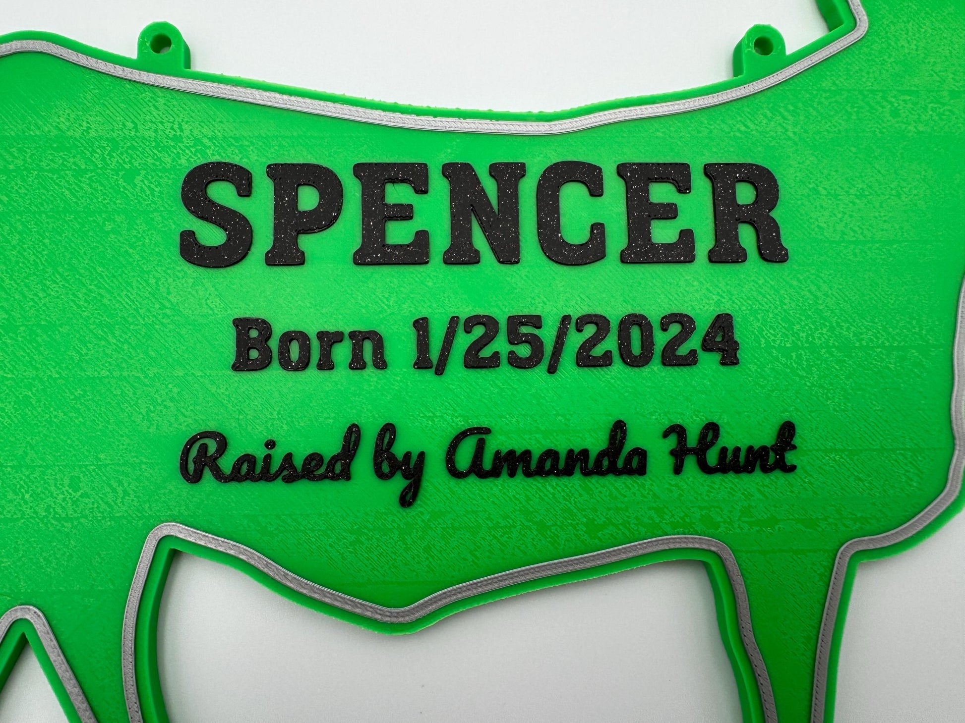Personalized Cow Stall Sign Farm Fair Stall Plaque Custom Cow Stall Sign Steer Child Gift Farm Fair Display Gift