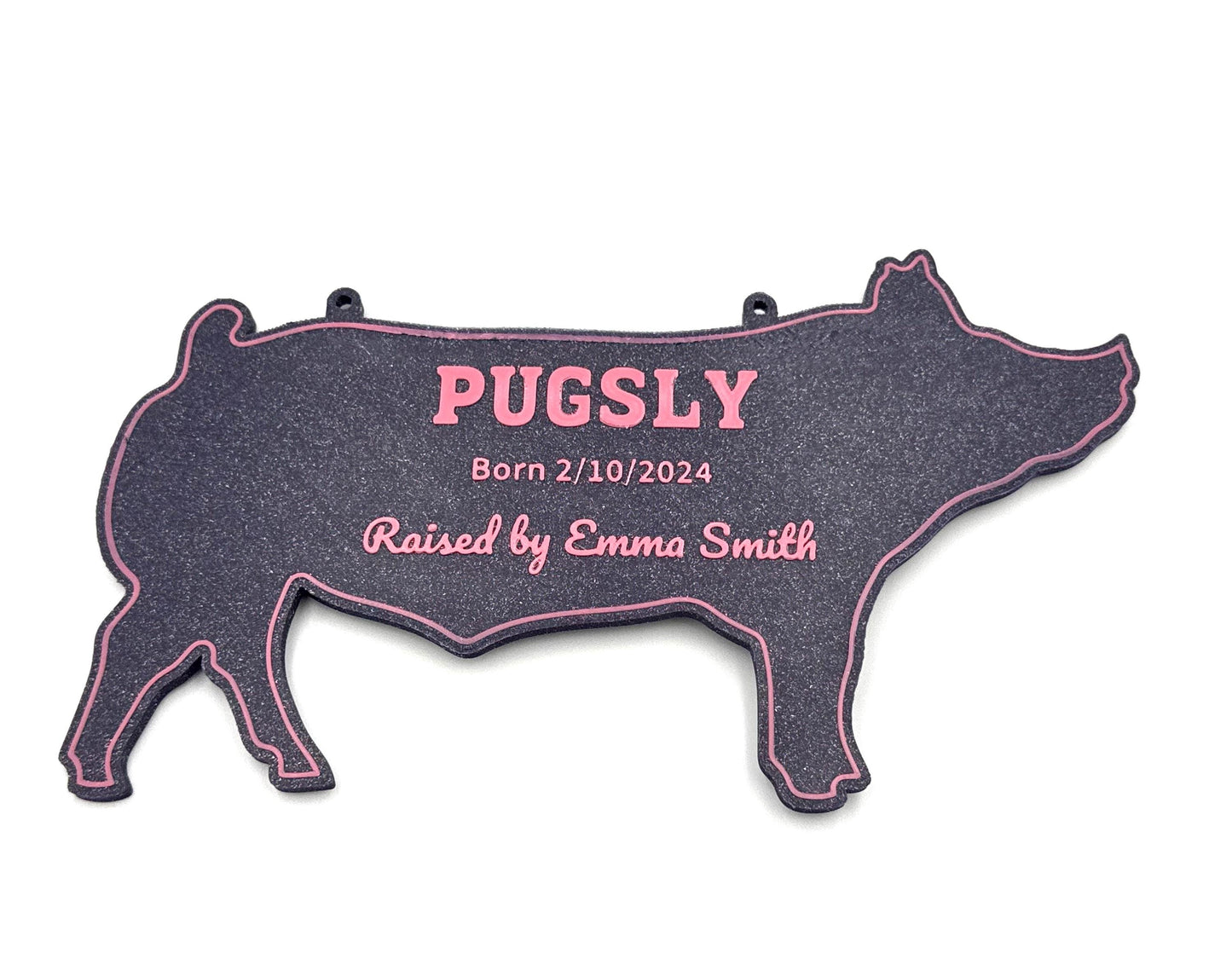 Personalized Pig Stall Sign Farm Fair Stall Plaque Custom Pig Stall Sign Sow Child Gift Farm Fair Display Gift