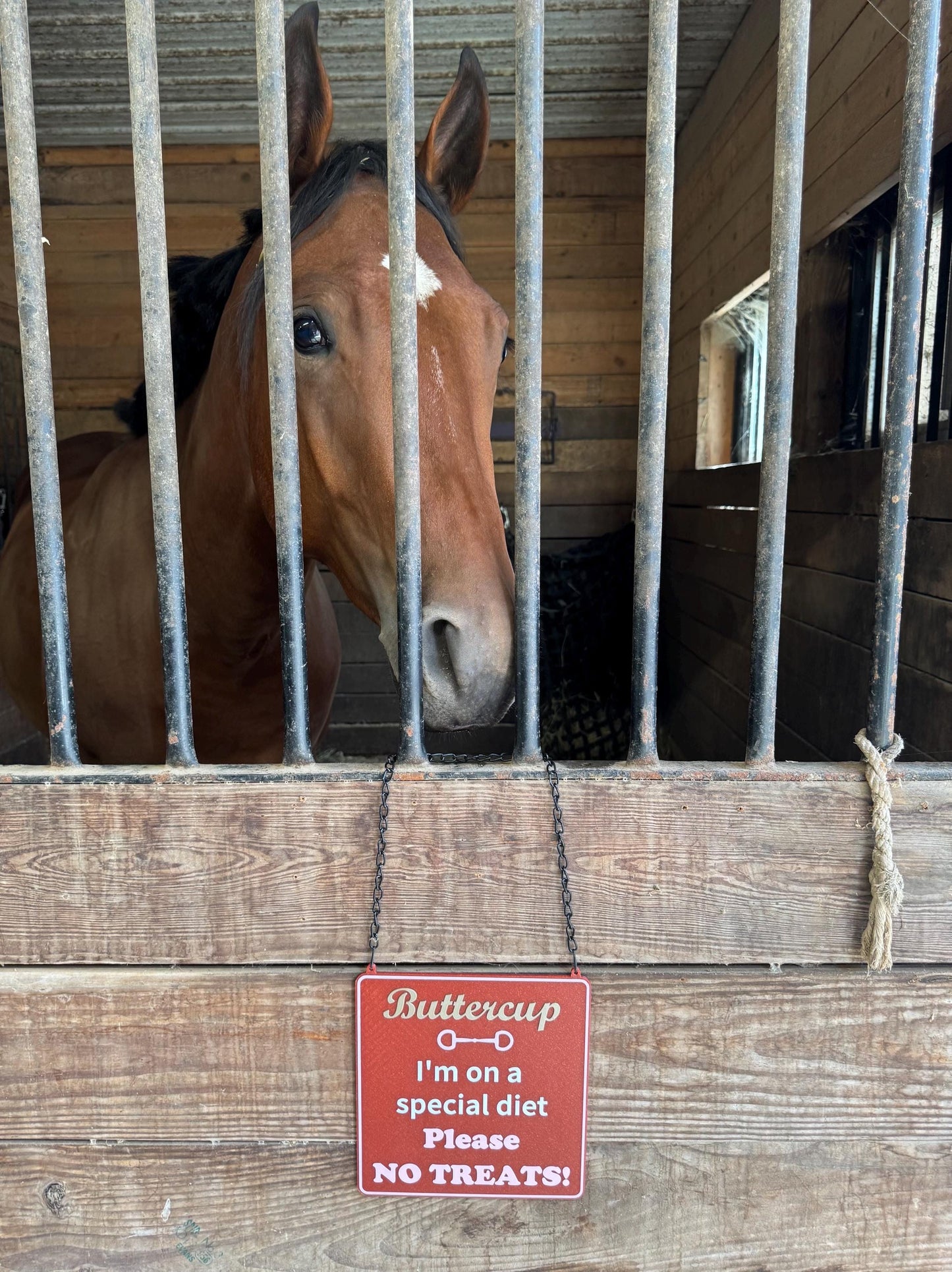 Personalized Horse Saying Barn Sign or Horse Stall Sign or Plaque - Gift for Horse Owner, Equestrian or Horse Trainer