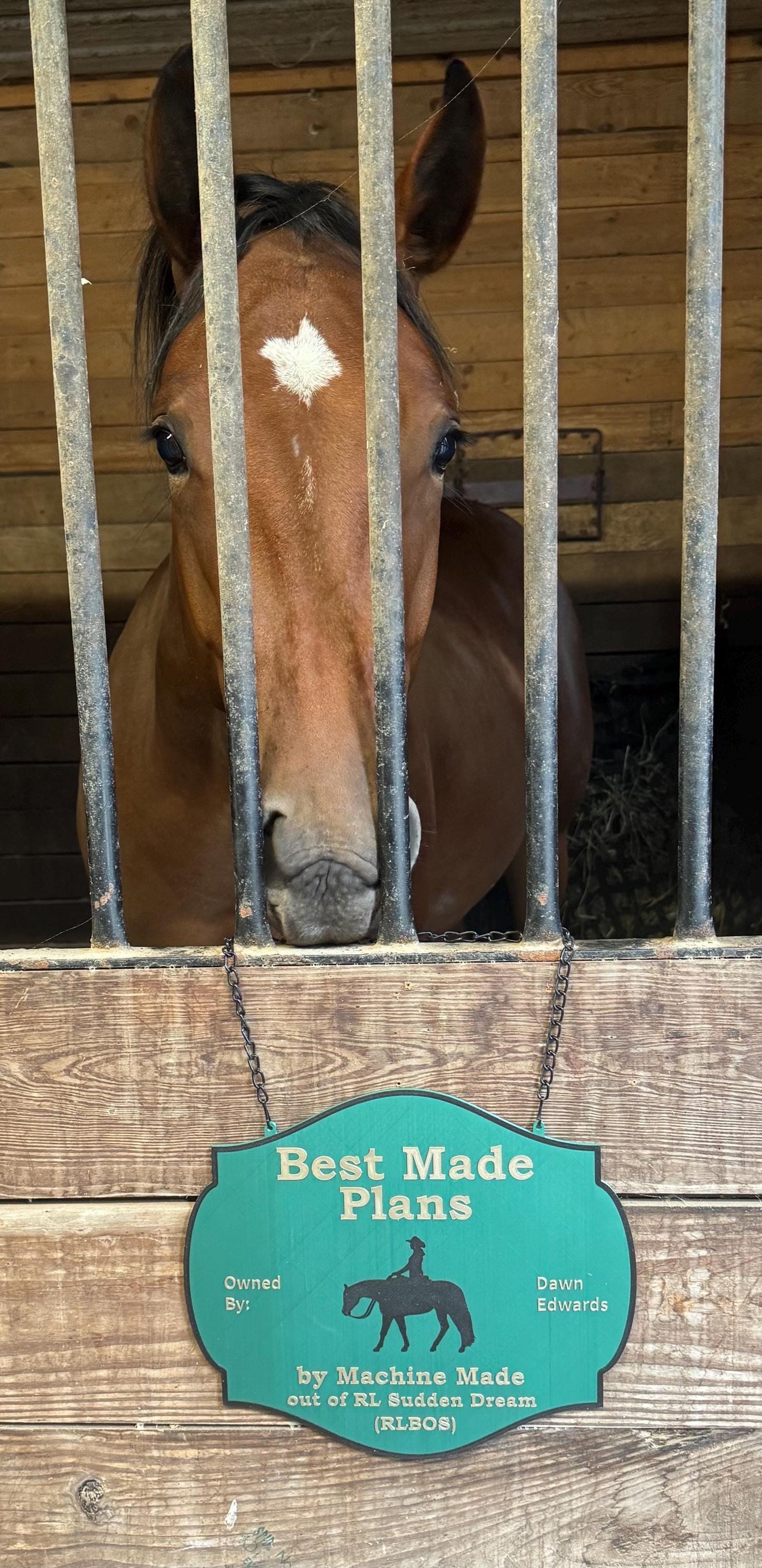 Personalized Large Horse Stall Sign or Plaque - Gift for Horse Owner, Equestrian or Horse Trainer