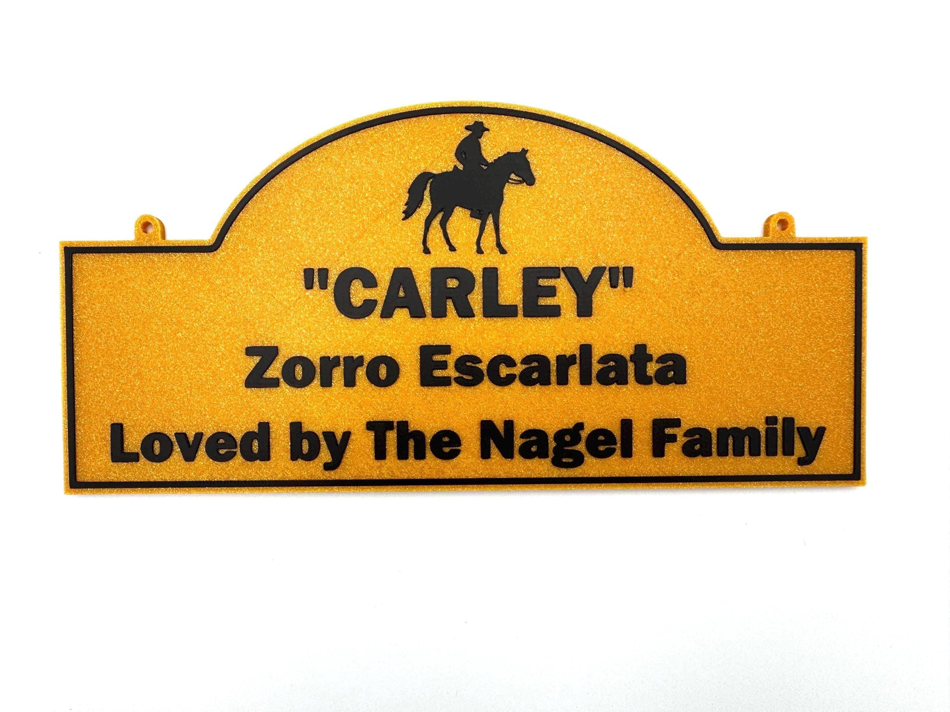 Small Personalized Horse Stall Sign or Plaque Gift for Horse Owner, Equestrian Horse Trainer FFA Custom Horse Stall Sign Custom Fair Sign