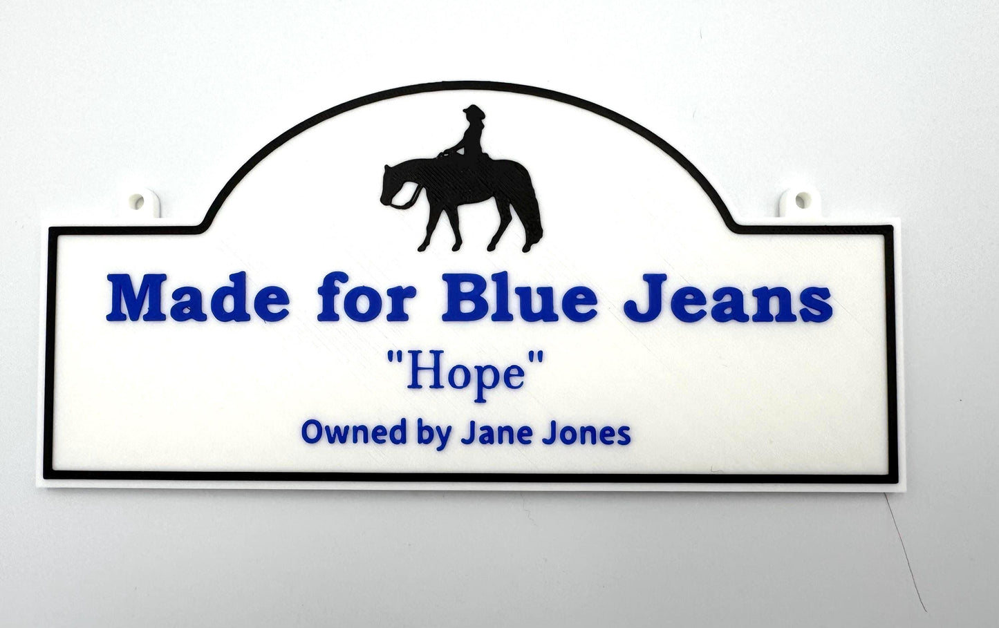 Small Personalized Horse Stall Sign or Plaque Gift for Horse Owner, Equestrian Horse Trainer FFA Custom Horse Stall Sign Custom Fair Sign