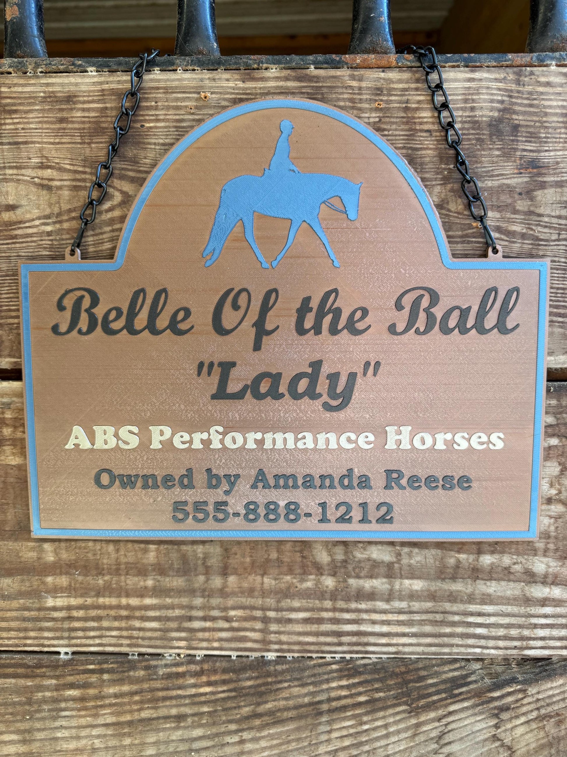 XXL Personalized Horse Stall Sign or Plaque - Gift for Horse Owner, Equestrian or Horse Trainer- Custom Horse Stall Sign Custom Fair Sign