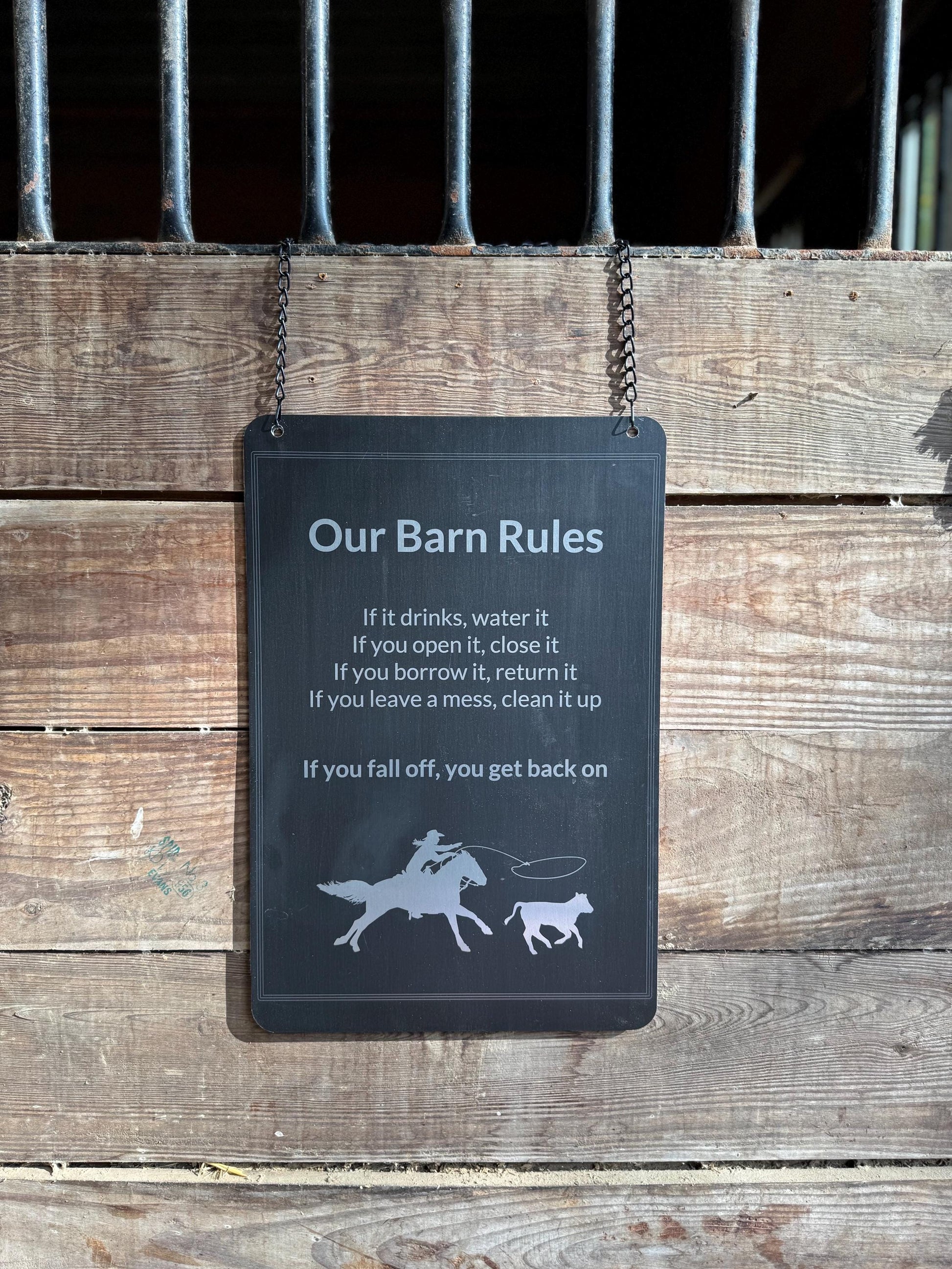 XXL Metal Personalized Horse Trainer Farm, Stable or Busines Sign -Gift for Equestrian, Horse Trainer. Custom Horse Business or Fair Sign