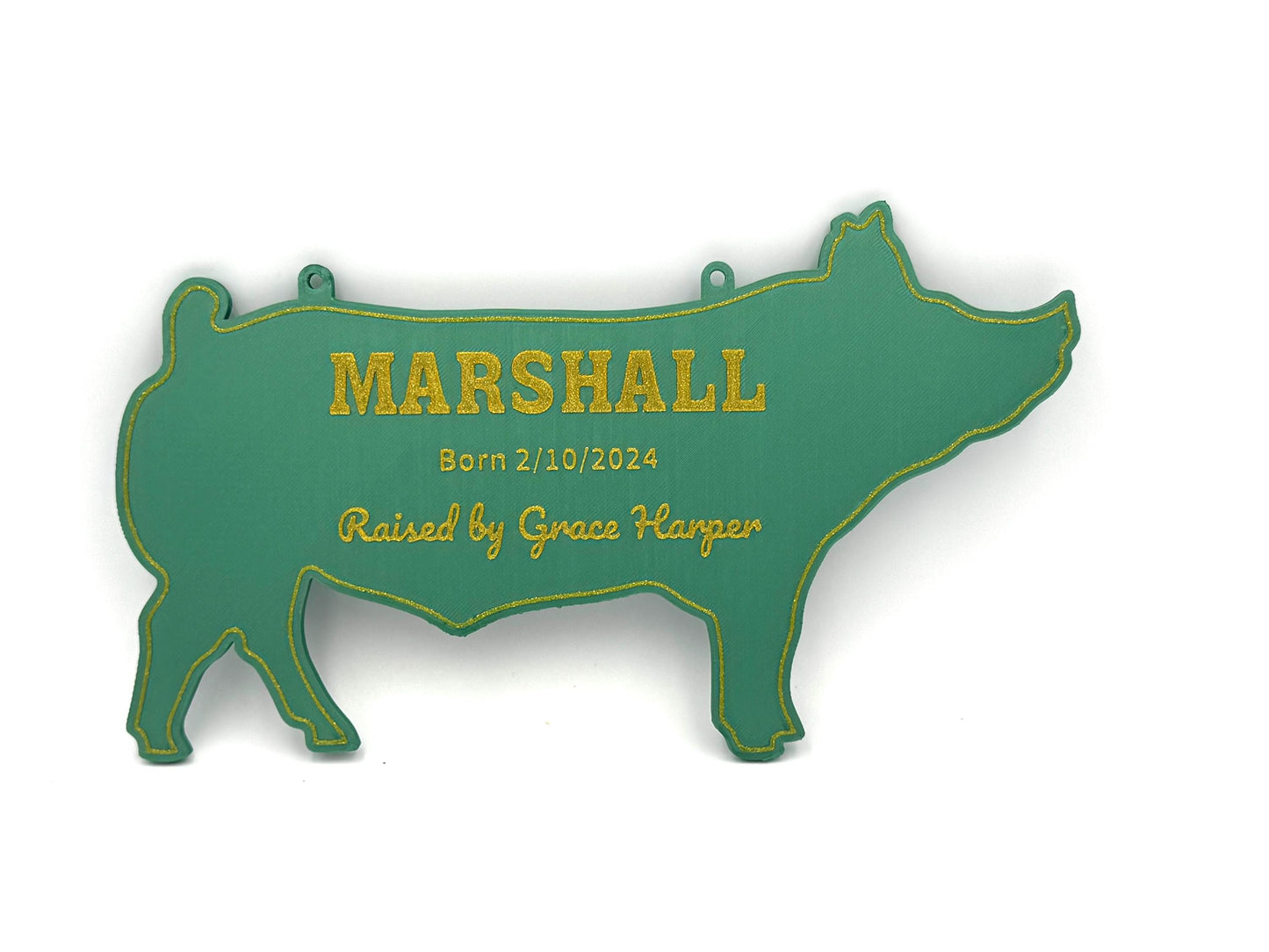 XL Personalized Pig or Sow Stall Sign for Farm Fair Stall For 4-H or FFA - Extra Large Custom Stall Sign, Fair Sign Custom Pig or Sow Sign