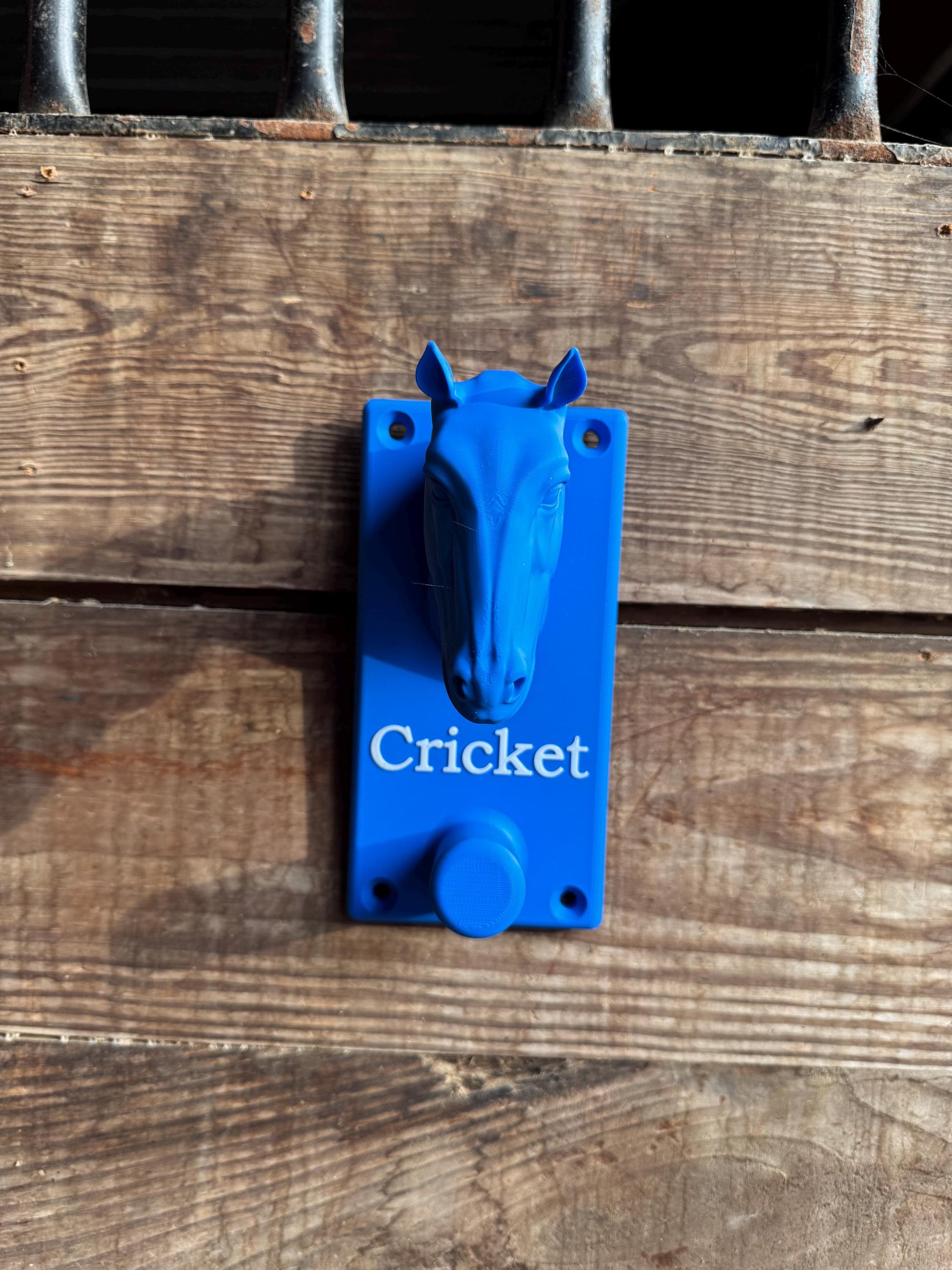 Custom Plastic Horse Head Bridle Holder or Halter Rack Bridle Personalized - Gift for Equestrian, Barn or Horse Owner