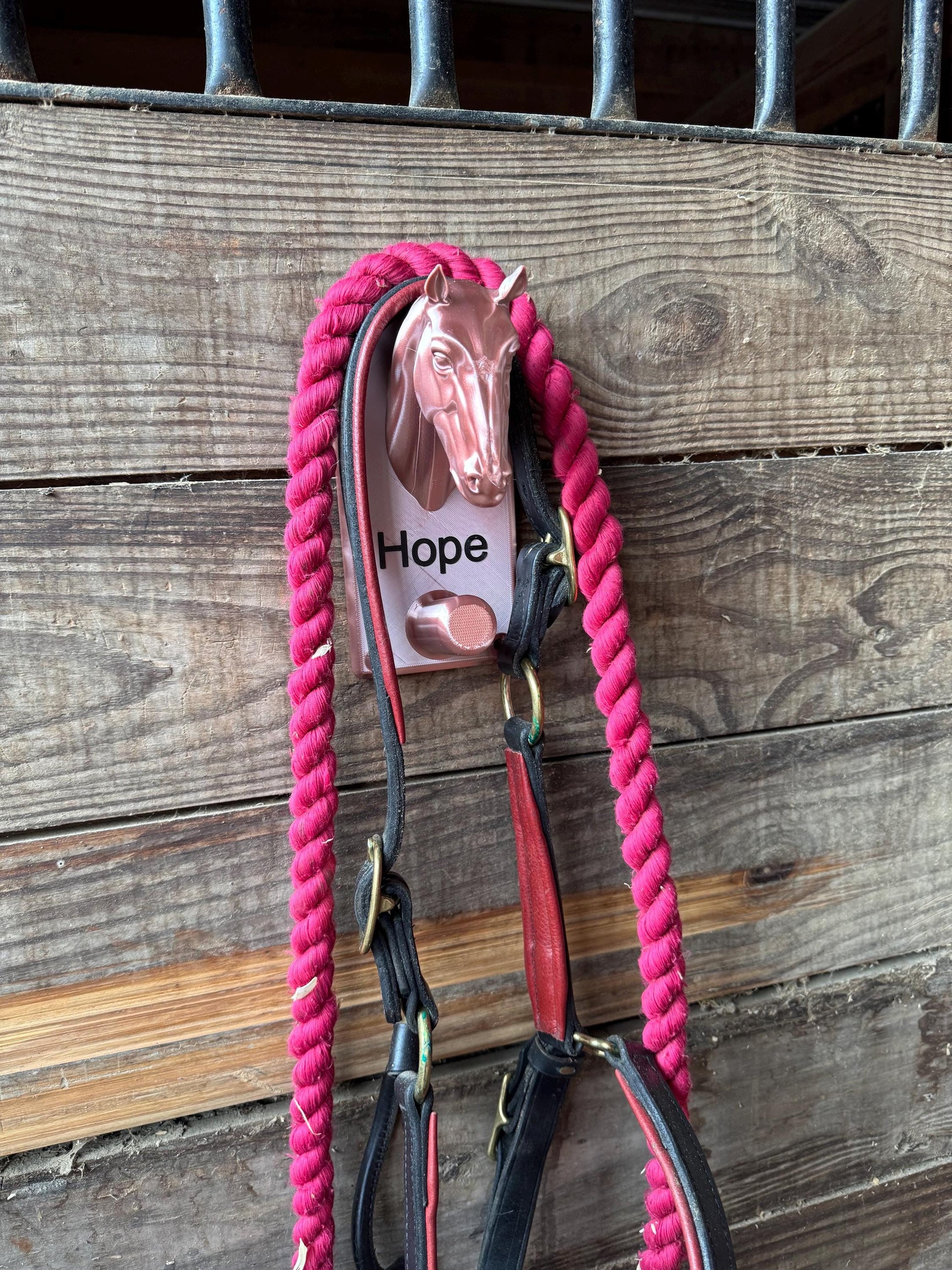Custom Plastic Horse Head Bridle Holder or Halter Rack Bridle Personalized - Gift for Equestrian, Barn or Horse Owner