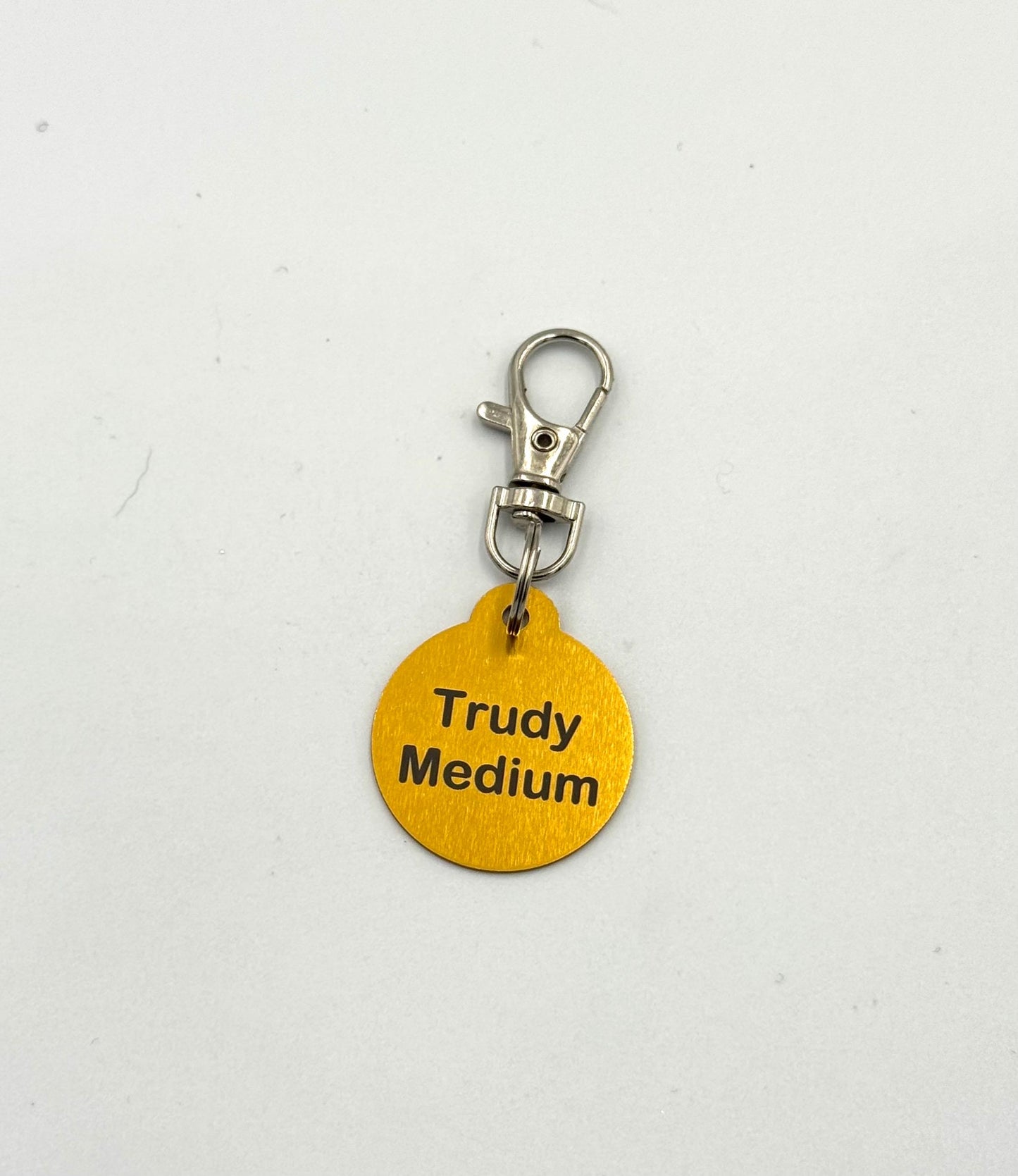 Small Personalized Metal Bridle, Saddle or Equipment Tag with Clip