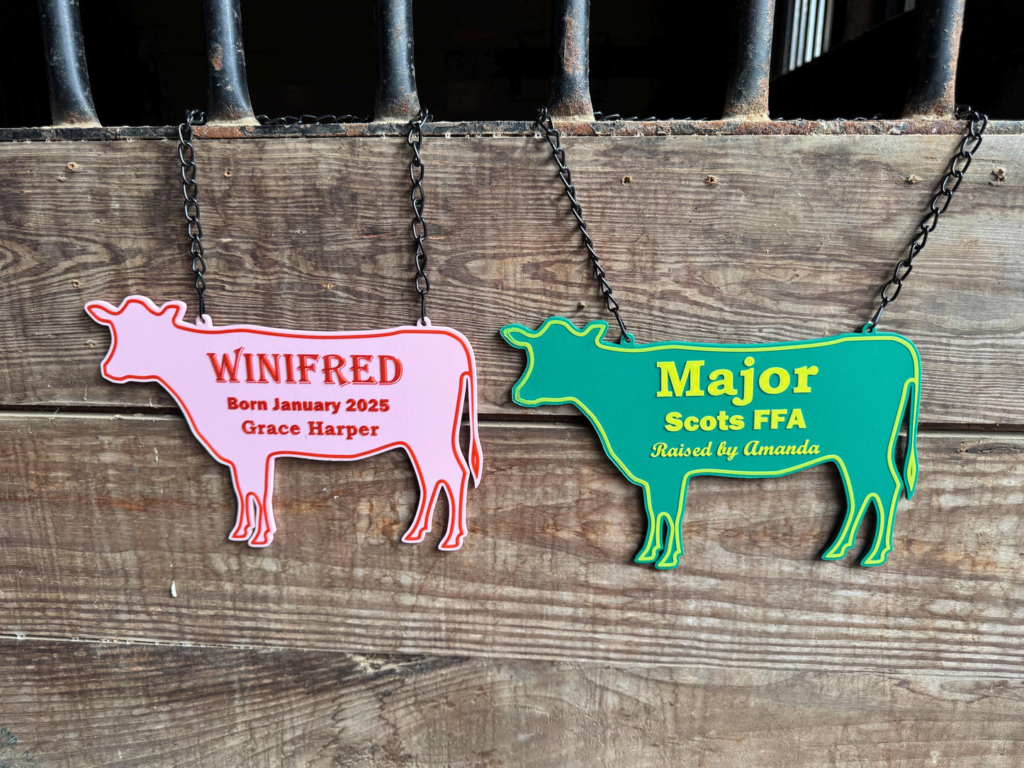 Large Personalized Cow or Steer Fair Stall Sign or Plaque - Gift for FFA or 4-H Child or Adult