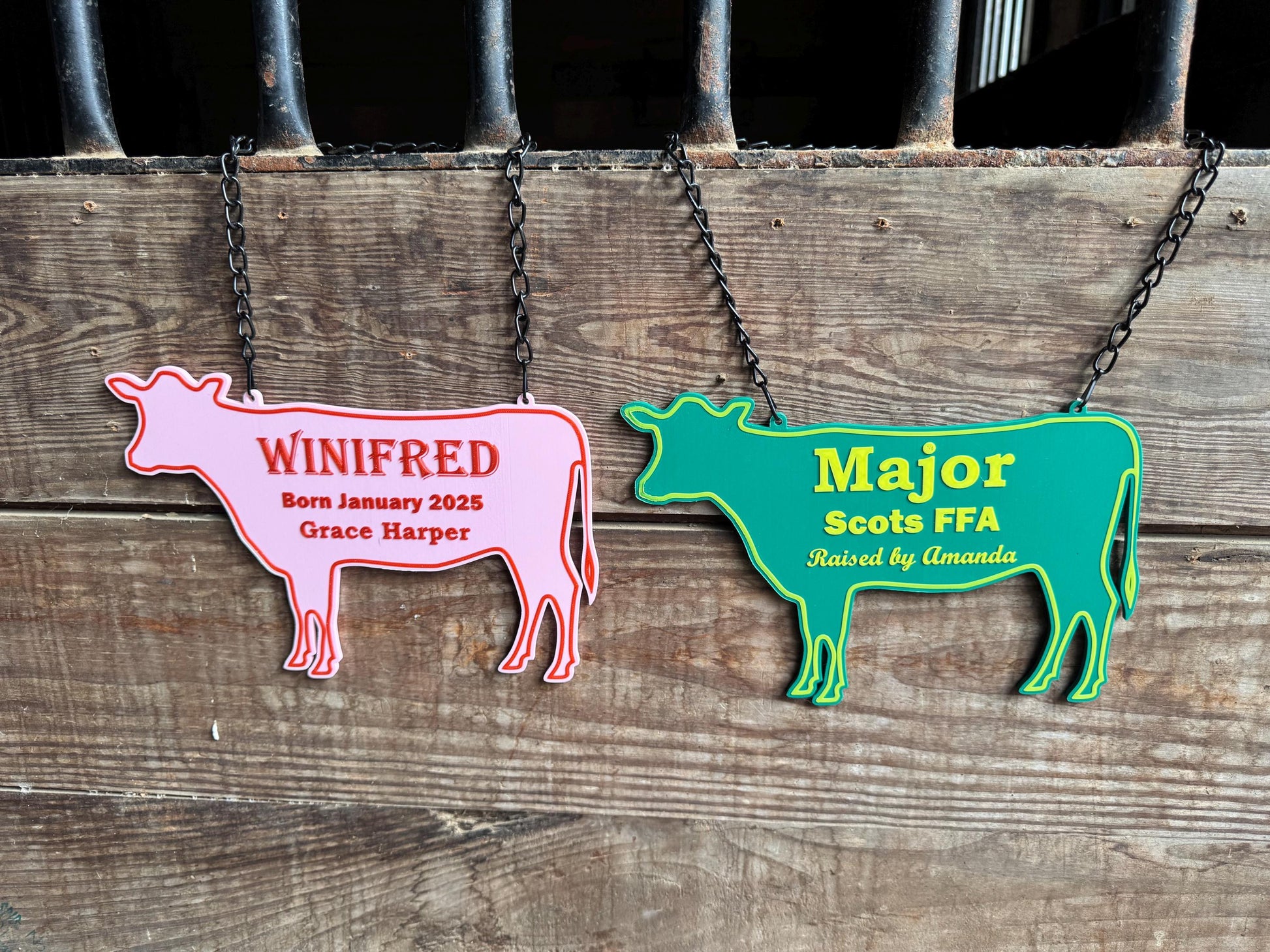 Large Personalized Cow or Steer Fair Stall Sign or Plaque - Gift for FFA or 4-H Child or Adult
