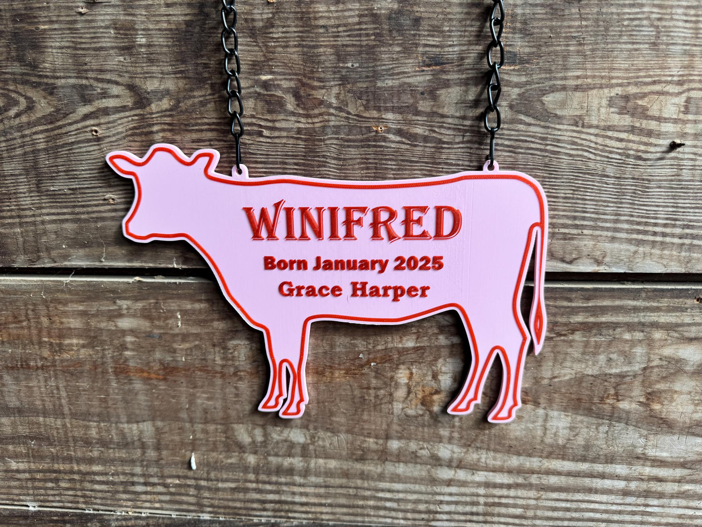 Large Personalized Cow or Steer Fair Stall Sign or Plaque - Gift for FFA or 4-H Child or Adult