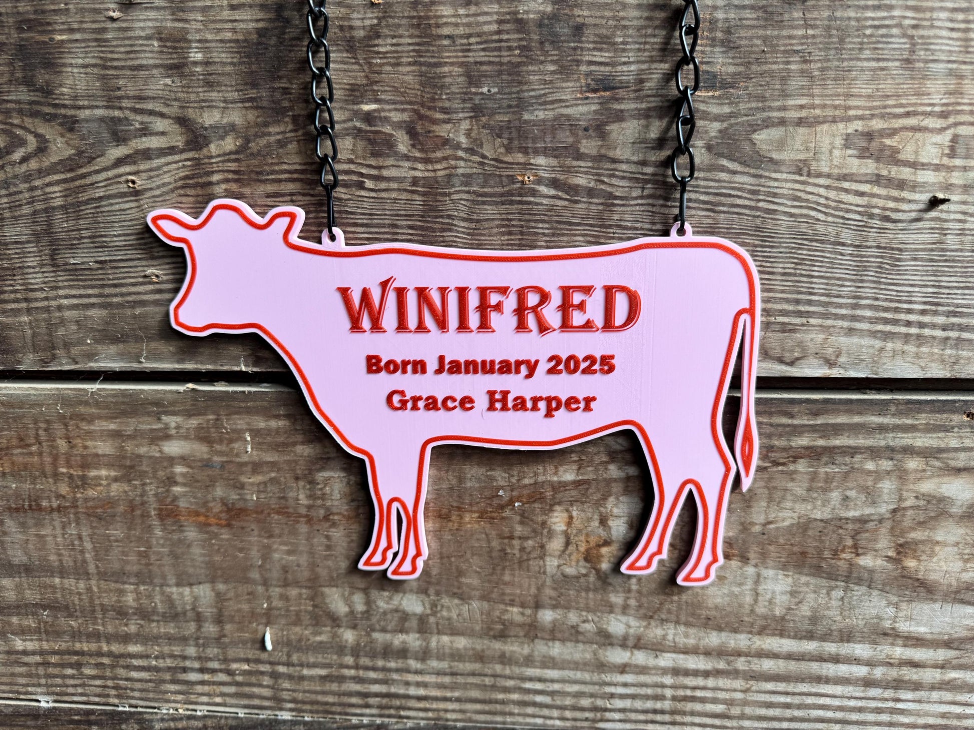Large Personalized Cow or Steer Fair Stall Sign or Plaque - Gift for FFA or 4-H Child or Adult