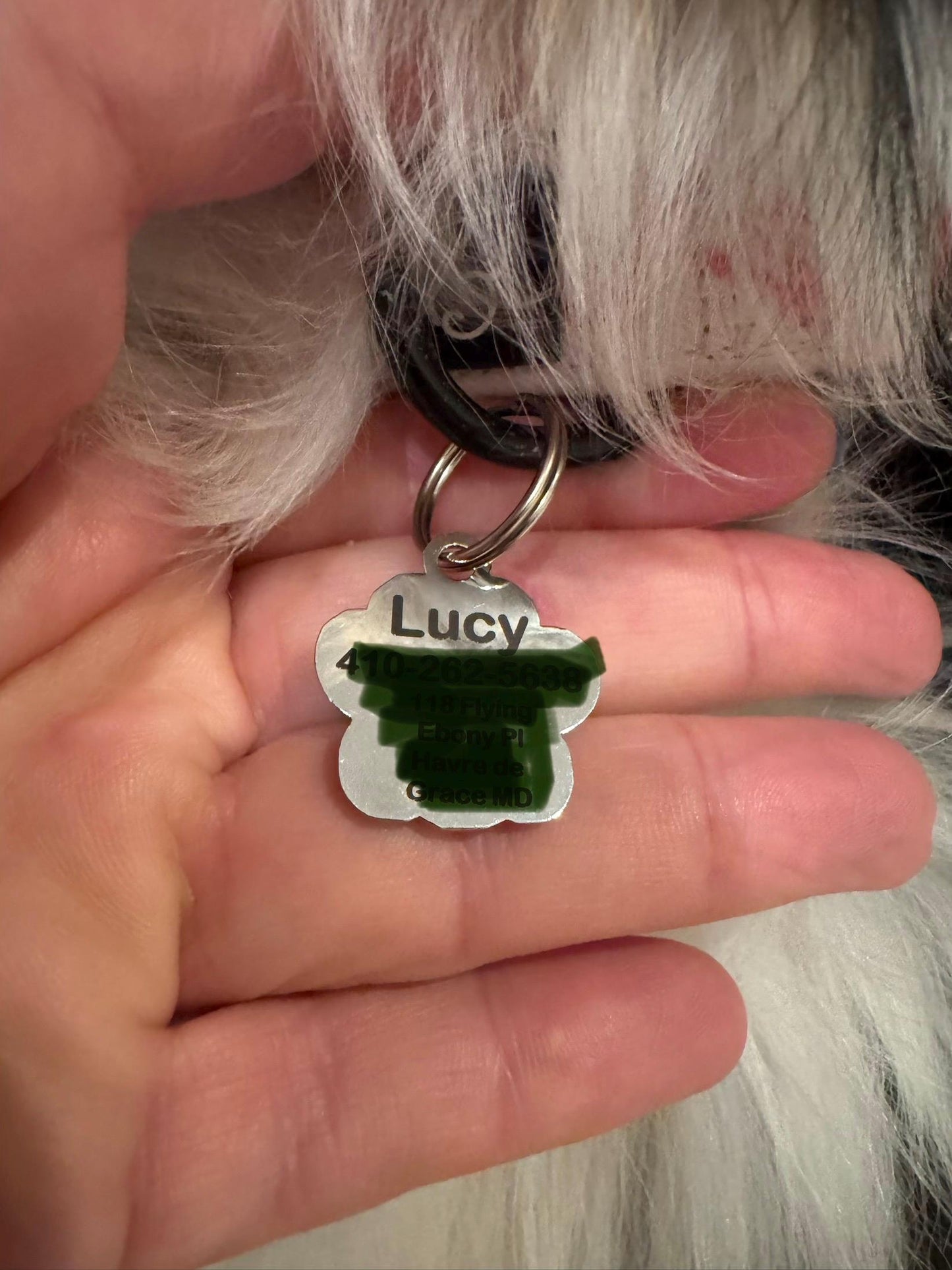 Small Personalized Crystal Metal Dog Paw Tag with Split Ring for Dog Collar or Harness