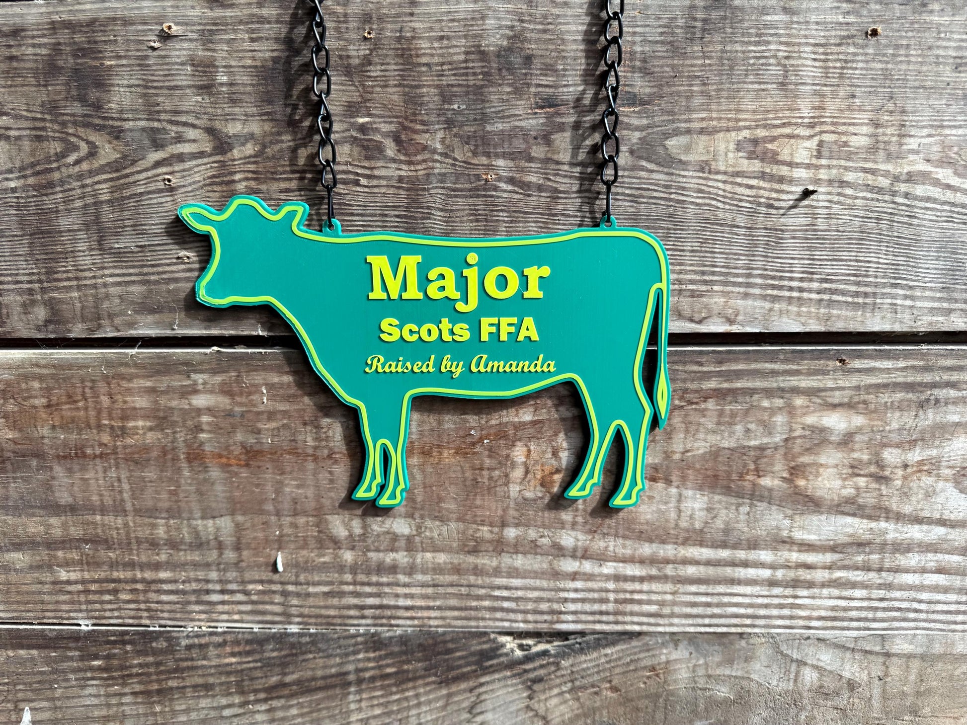 Large Personalized Cow or Steer Fair Stall Sign or Plaque - Gift for FFA or 4-H Child or Adult
