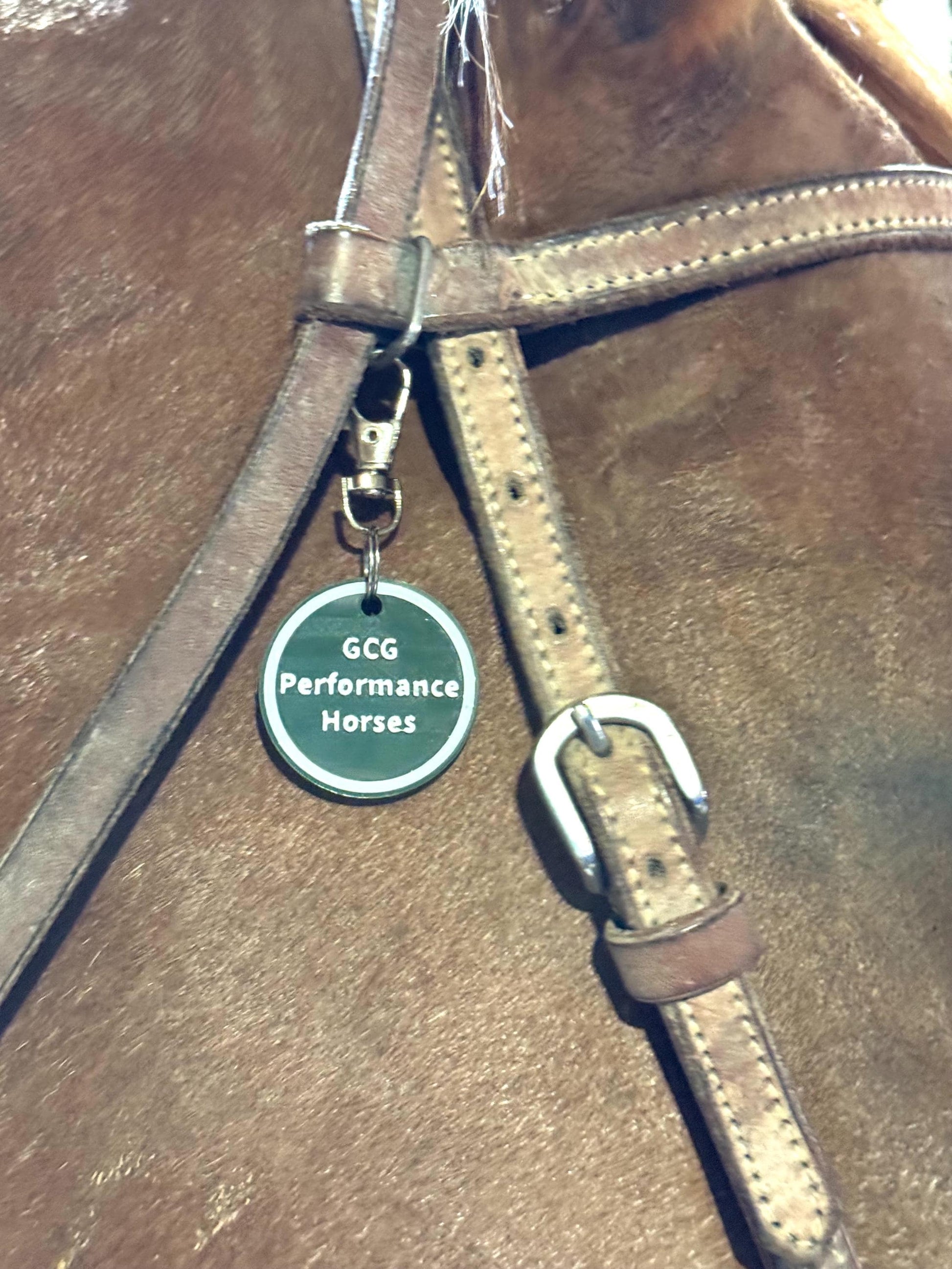Plastic and Metal Horse Bridle, Saddle or Equipment Tag for Equestrian or Horse Gift, Custom Bridle Tag
