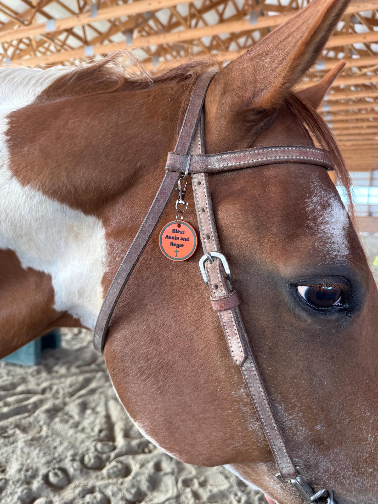 Plastic and Metal Horse Bridle, Saddle or Equipment Tag for Equestrian or Horse Gift, Custom Bridle Tag