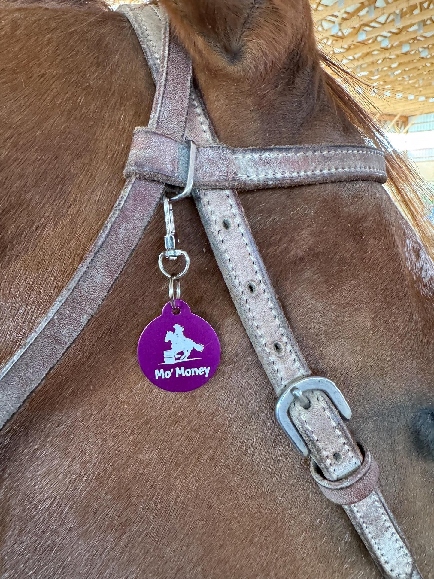 Small Personalized Metal Bridle, Saddle or Equipment Tag with Clip