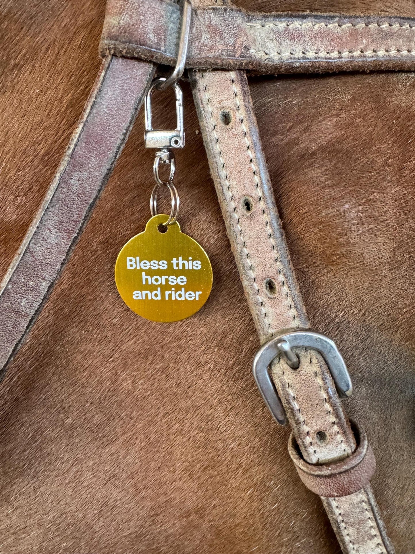 Small Personalized Metal Bridle, Saddle or Equipment Tag with Clip