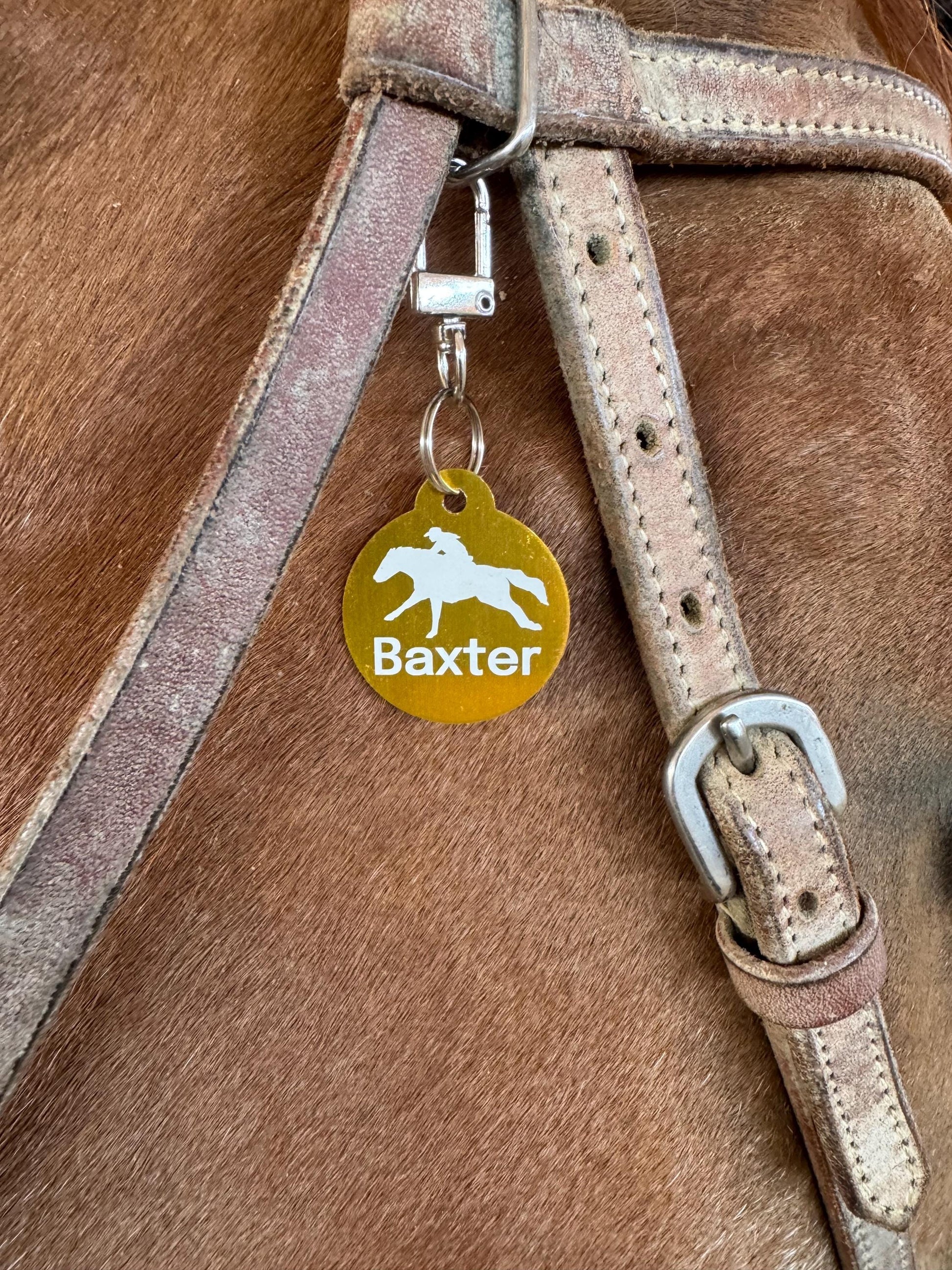 Small Personalized Metal Bridle, Saddle or Equipment Tag with Clip
