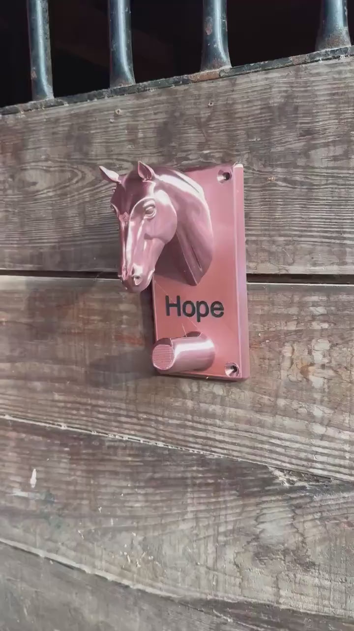 Custom Plastic Horse Head Bridle Holder or Halter Rack Bridle Personalized - Gift for Equestrian, Barn or Horse Owner
